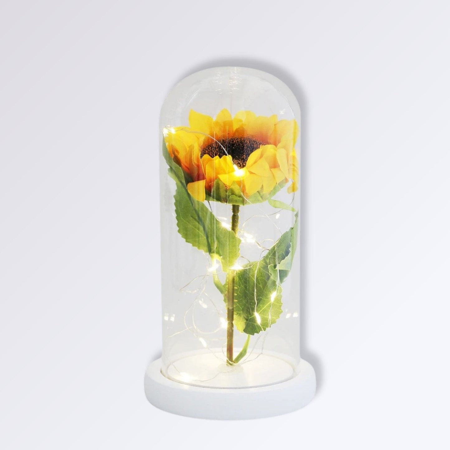 Fleur Jaune Éternelle Sous Cloche | Socle Blanc