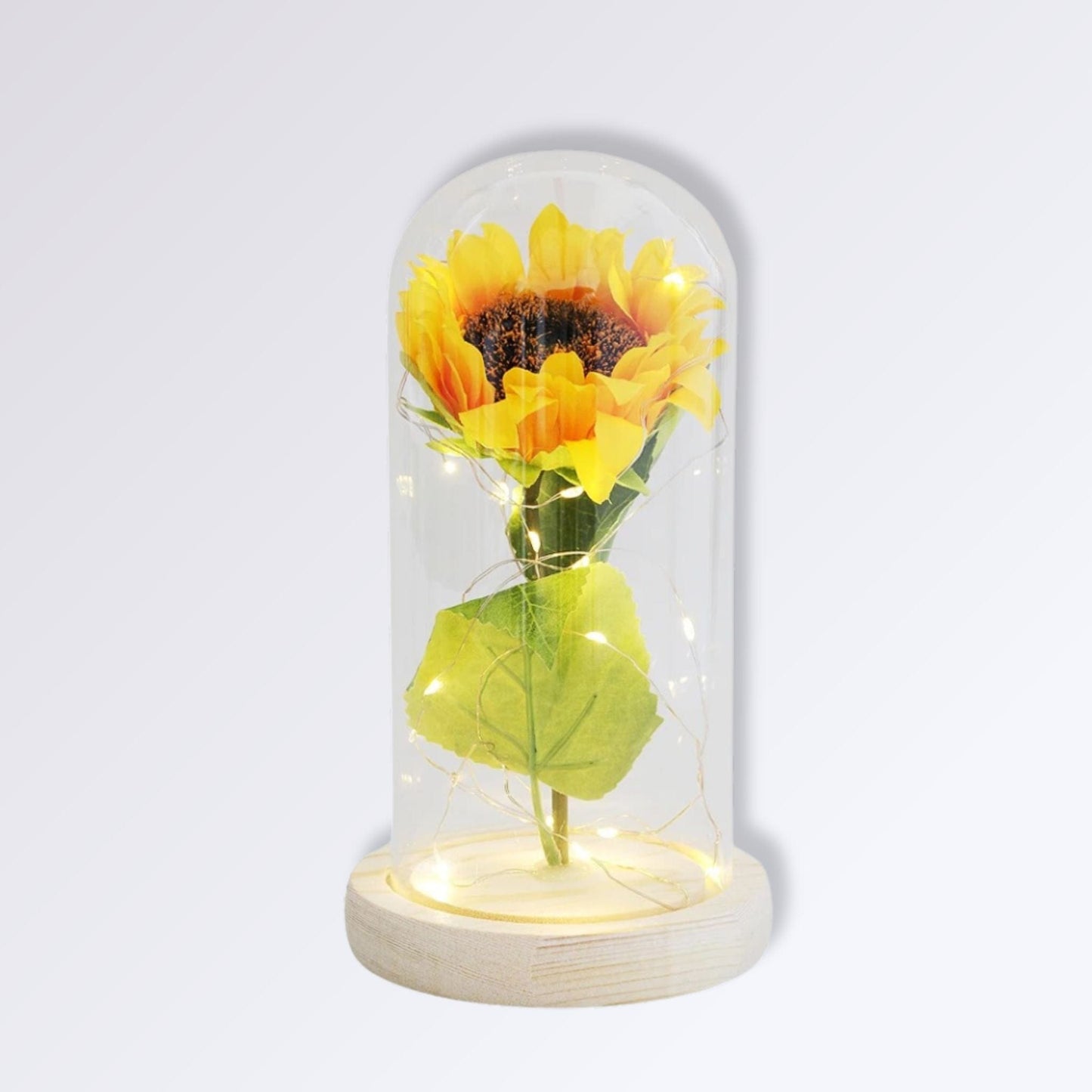 Fleur Jaune Éternelle Sous Cloche | Socle Bois