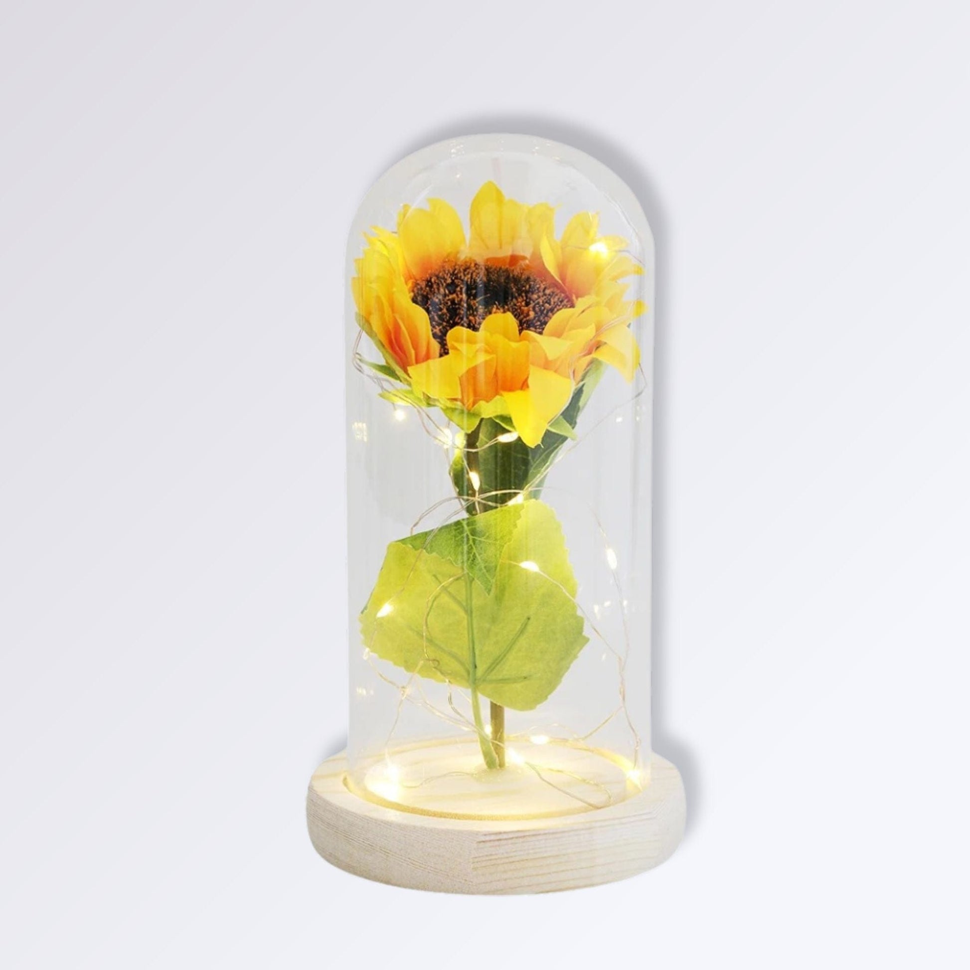Fleur Jaune Éternelle Sous Cloche | Socle Bois