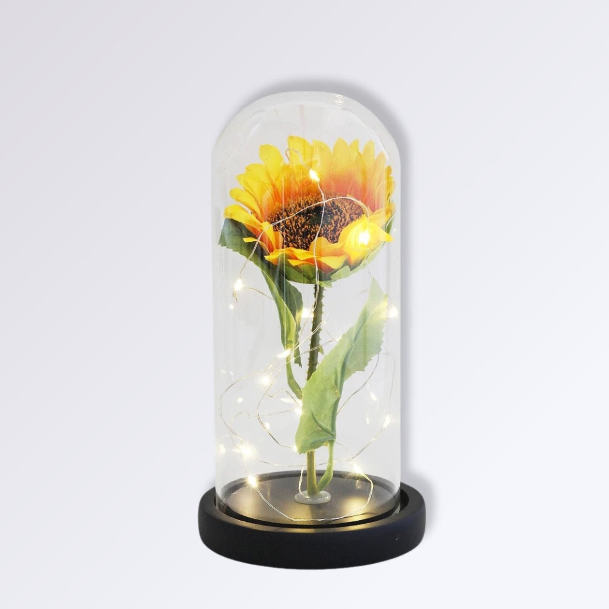 Fleur Jaune Éternelle Sous Cloche | Socle Noir