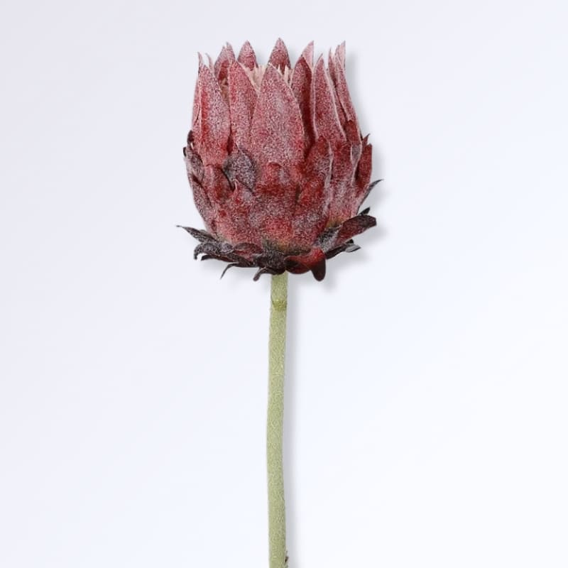 Fleur d'Artichaut Artificielle Bordeaux