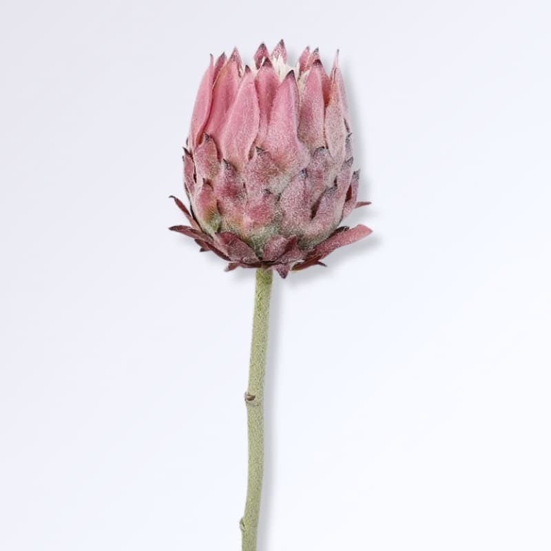 Fleur d'Artichaut Artificielle Rose