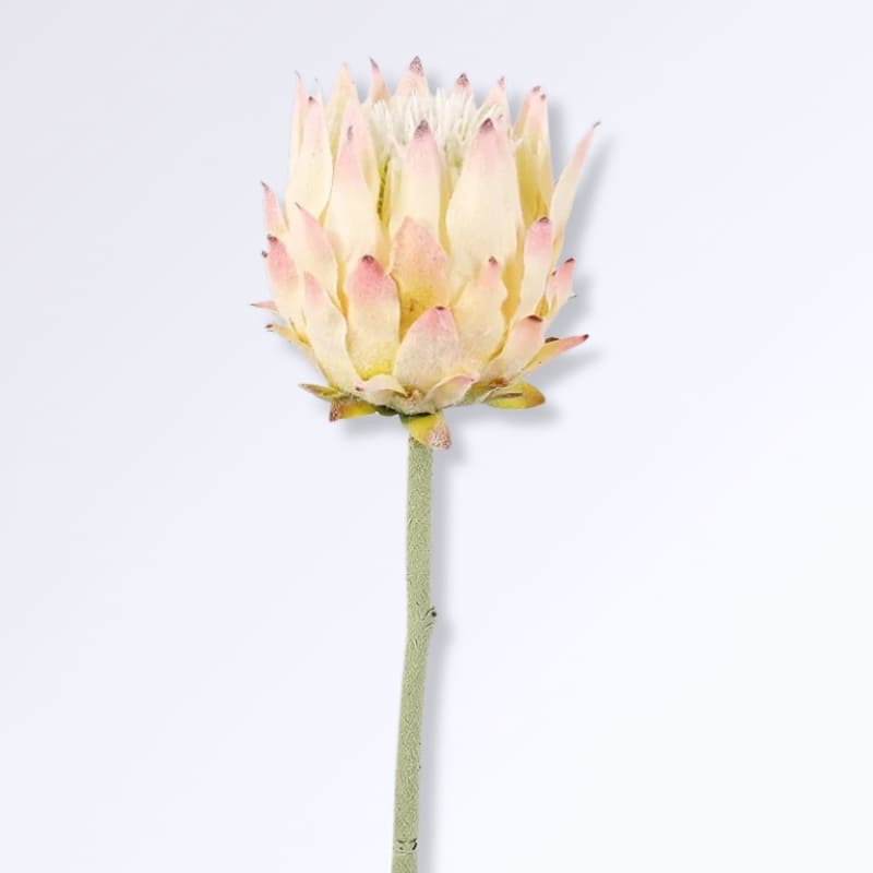 Fleur d'Artichaut Artificielle Blanc - rose