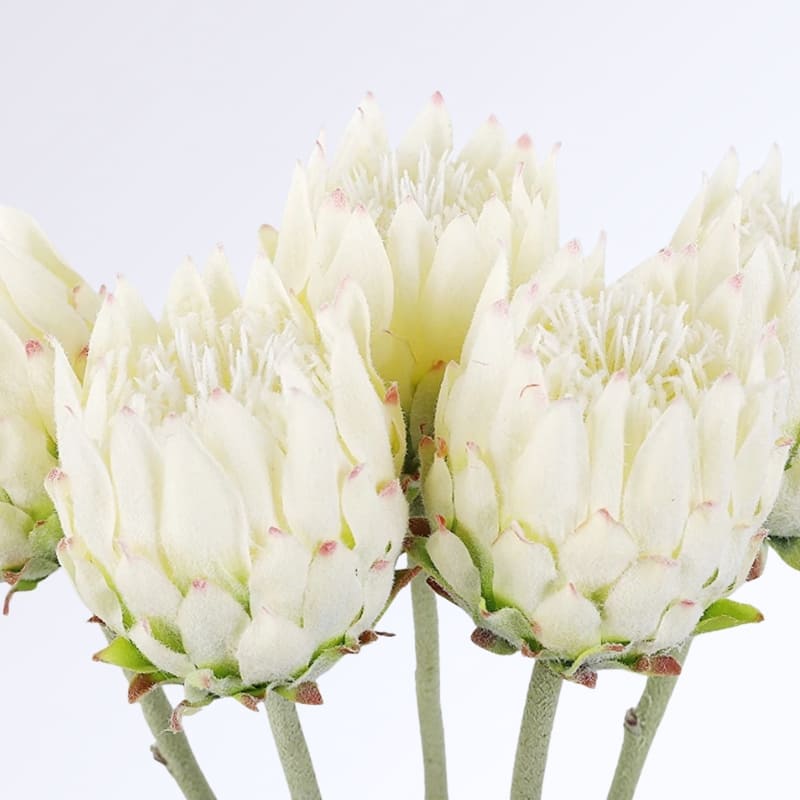 Fleur d'Artichaut Artificielle