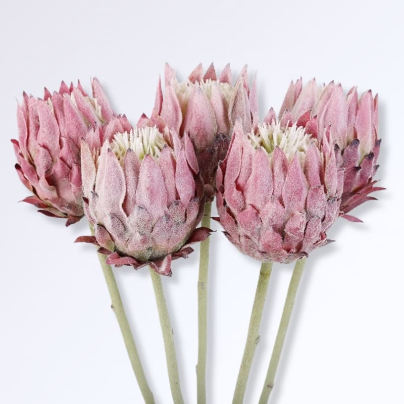 Fleur d'Artichaut Artificielle