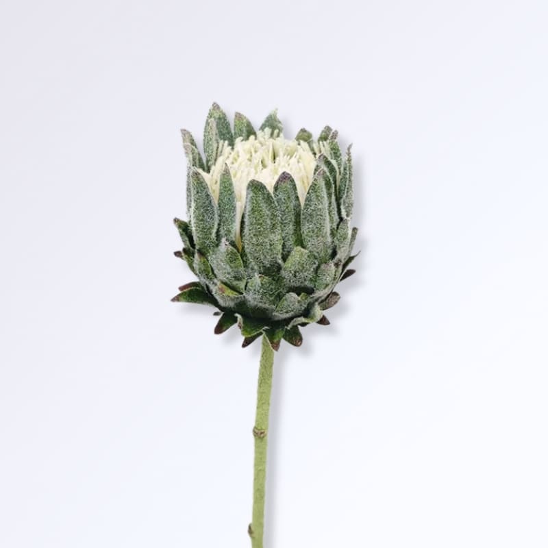 Fleur d'Artichaut Artificielle Vert