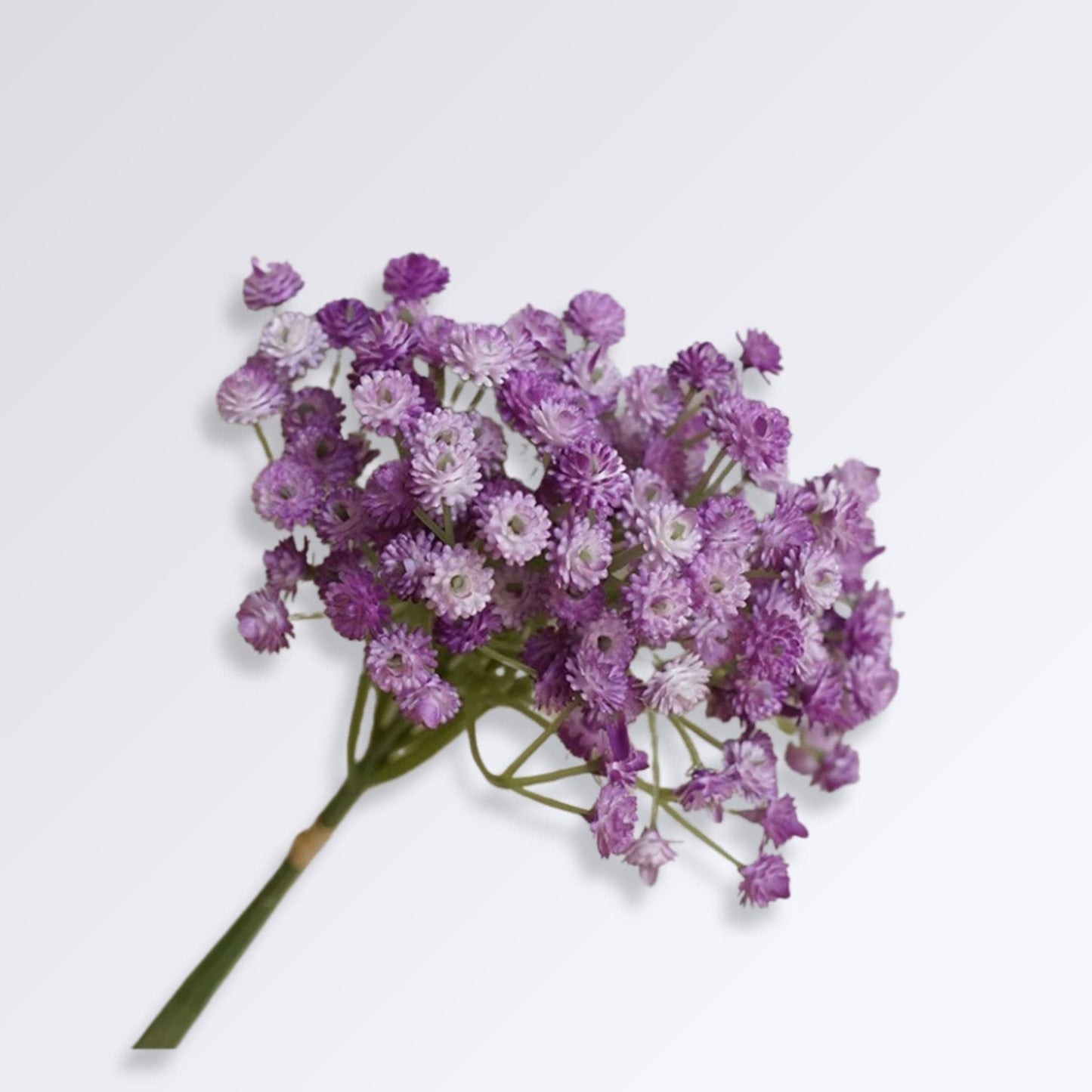 Fleurs de Gypsophiles Artificielles Couleur Violet