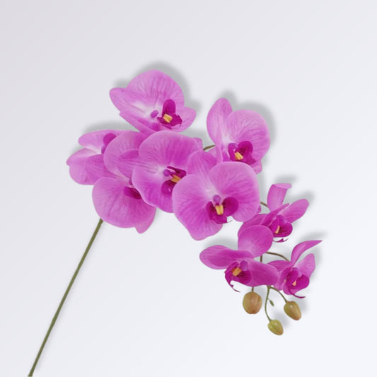 Grande Branche d'Orchidée Artificielle Couleur Rose fuchsia