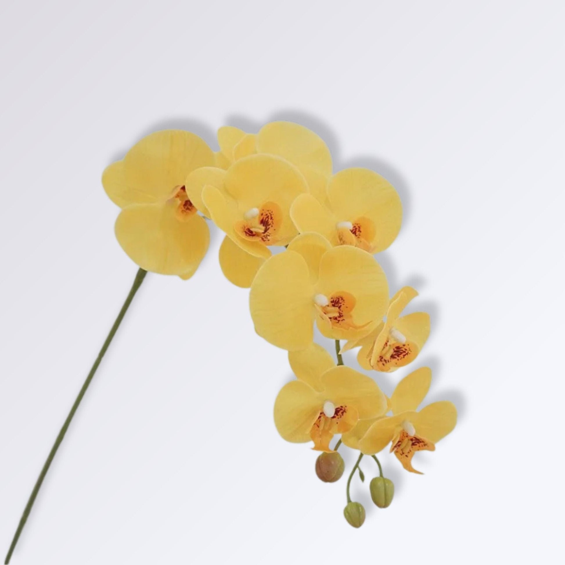 Grande Branche d'Orchidée Artificielle Couleur Jaune