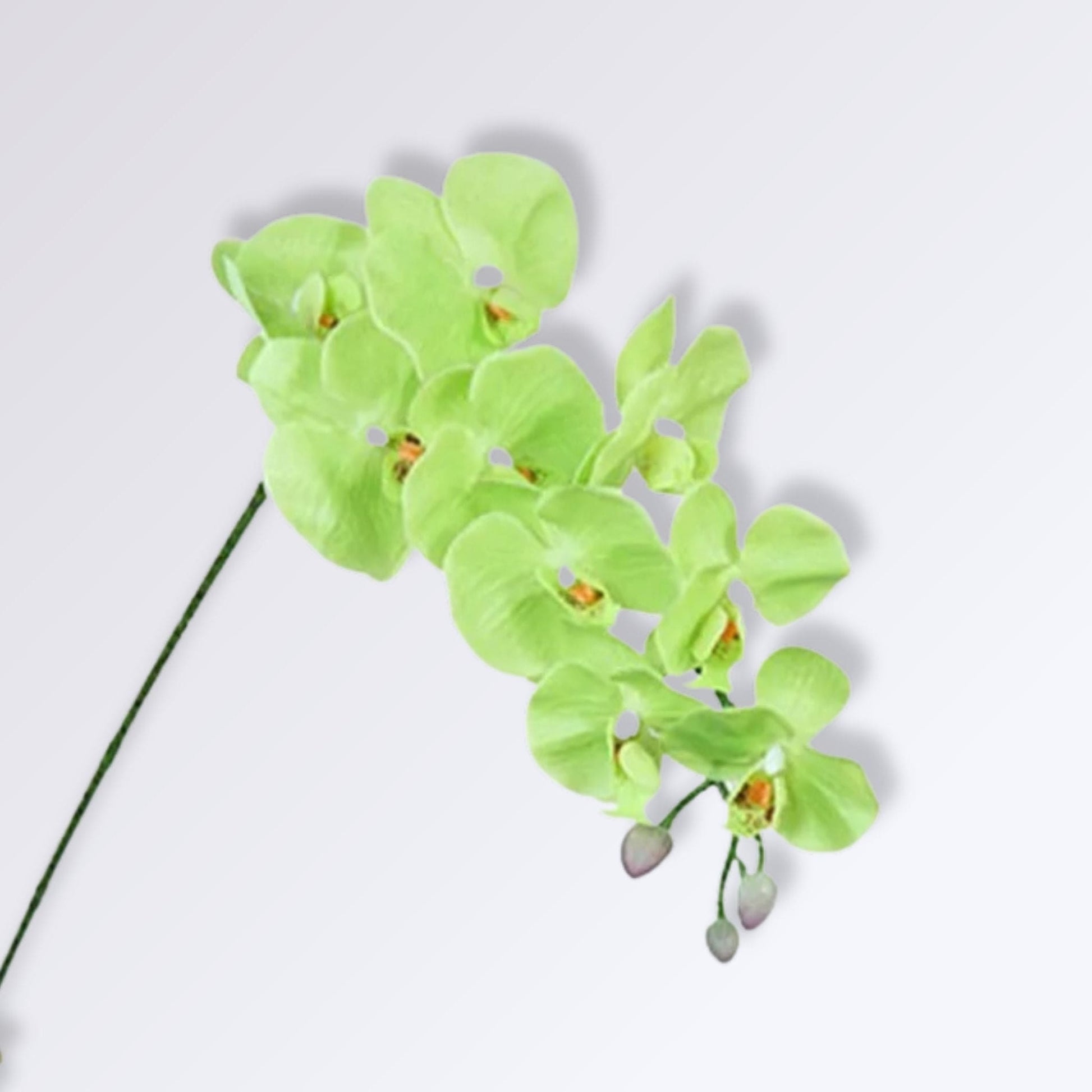 Grande Branche d'Orchidée Artificielle  Couleur Vert
