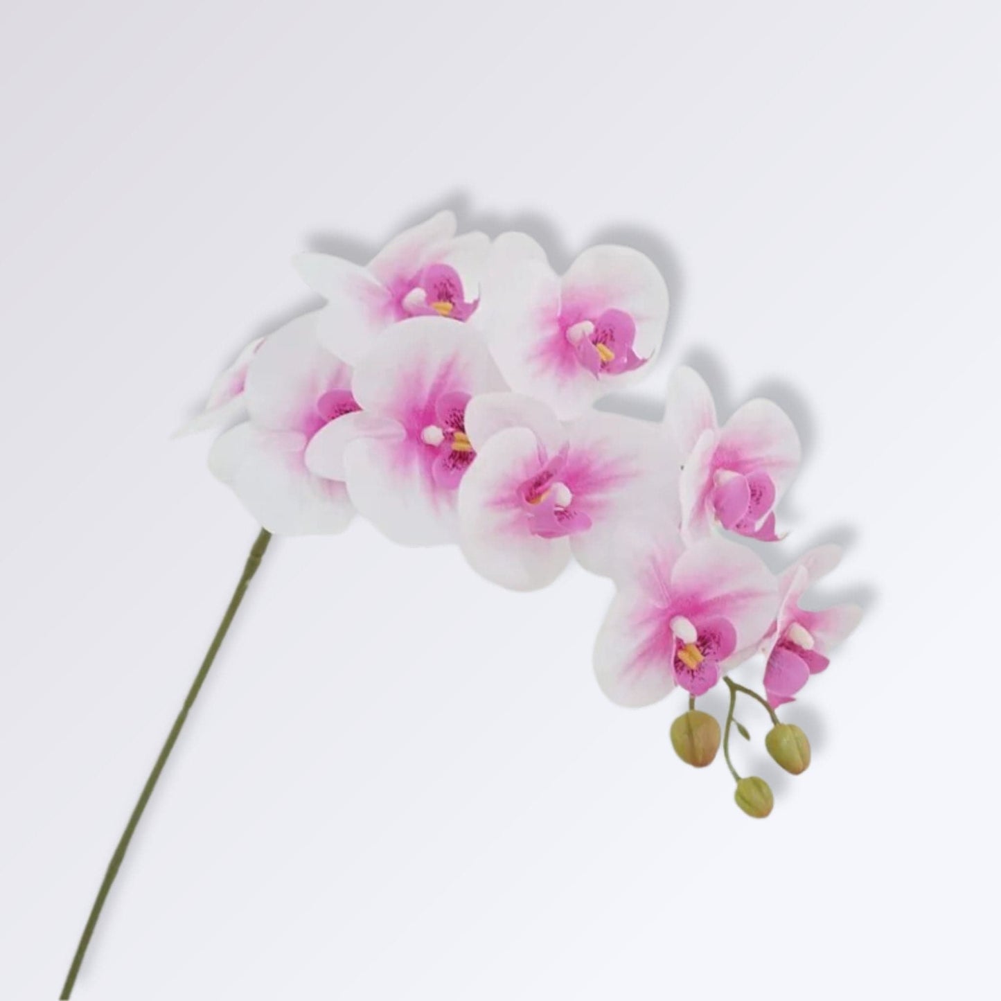 Grande Branche d'Orchidée Artificielle Couleur Blanc et Rose