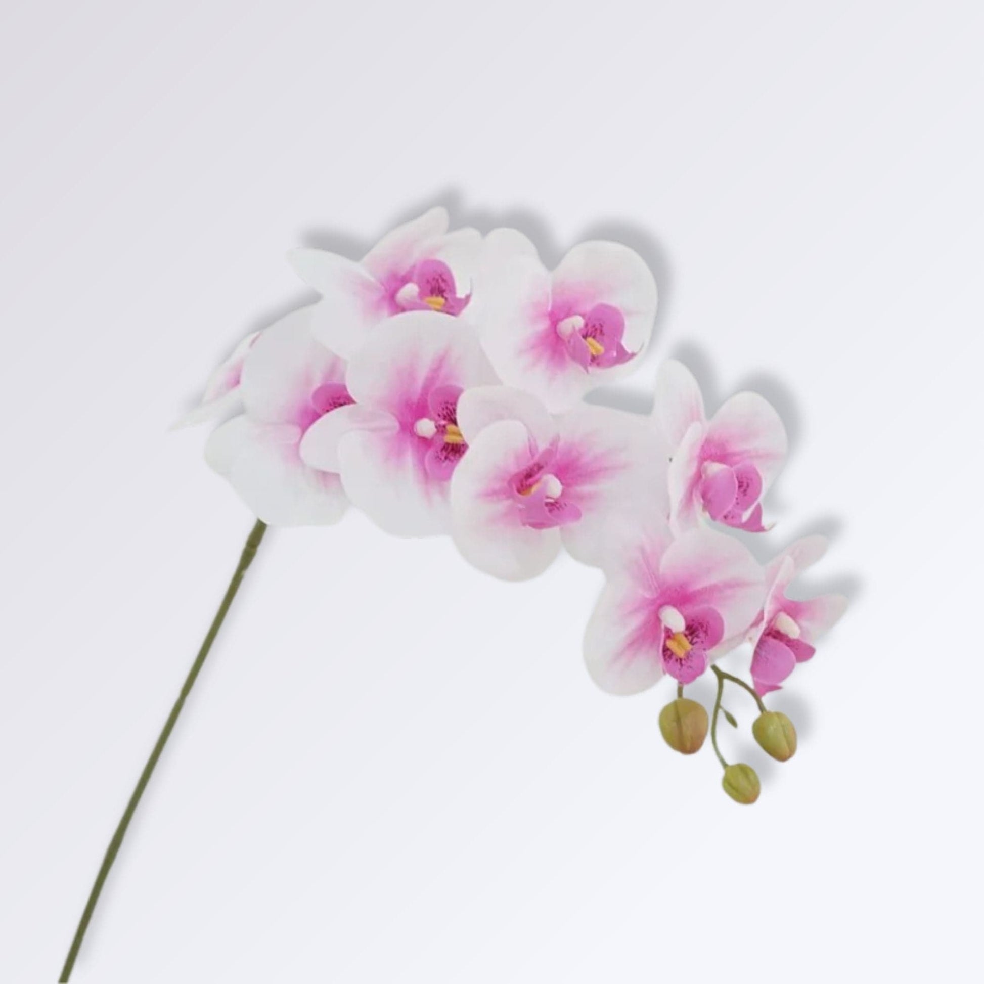 Grande Branche d'Orchidée Artificielle Couleur Blanc et Rose