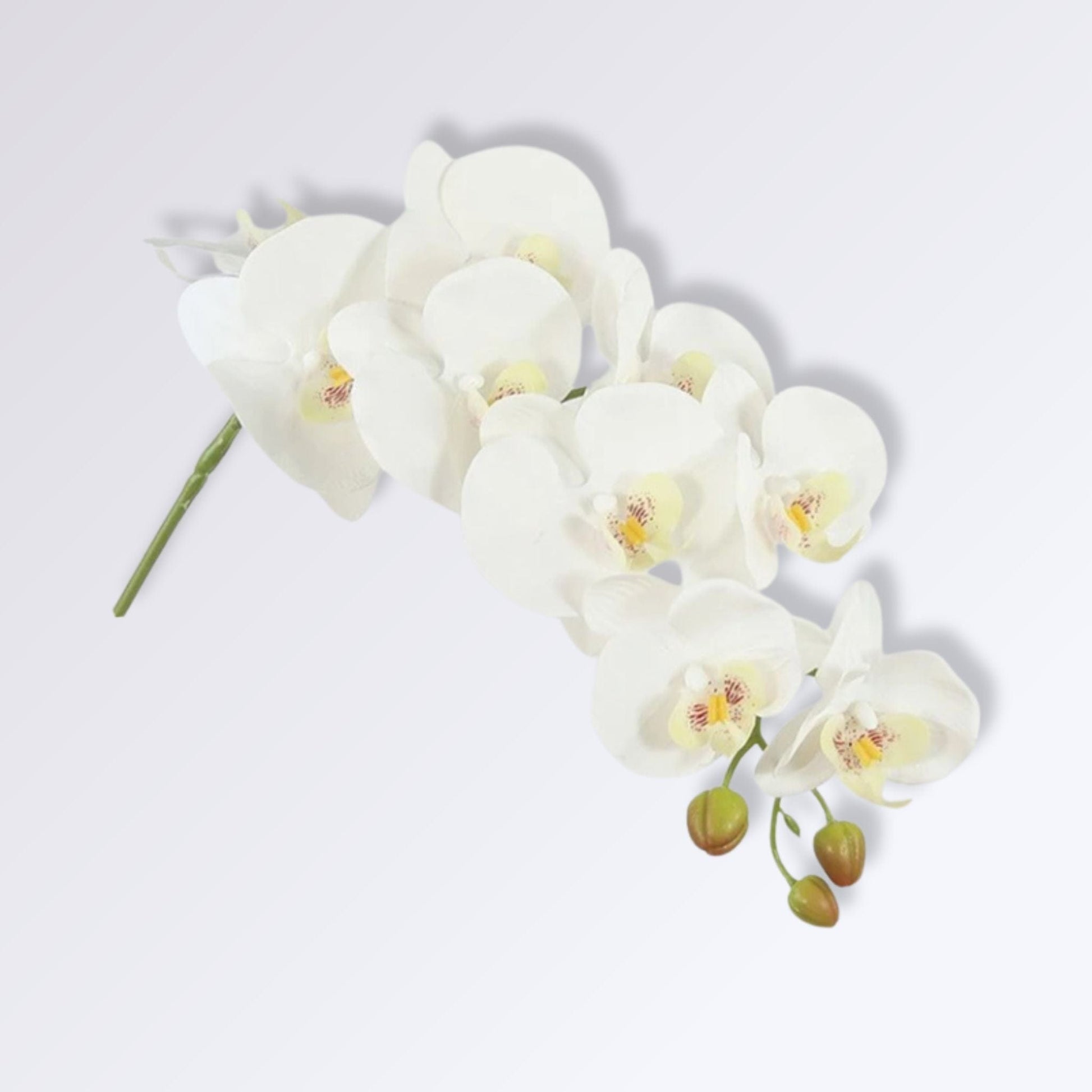 Grande Branche d'Orchidée Artificielle Couleur Blanc
