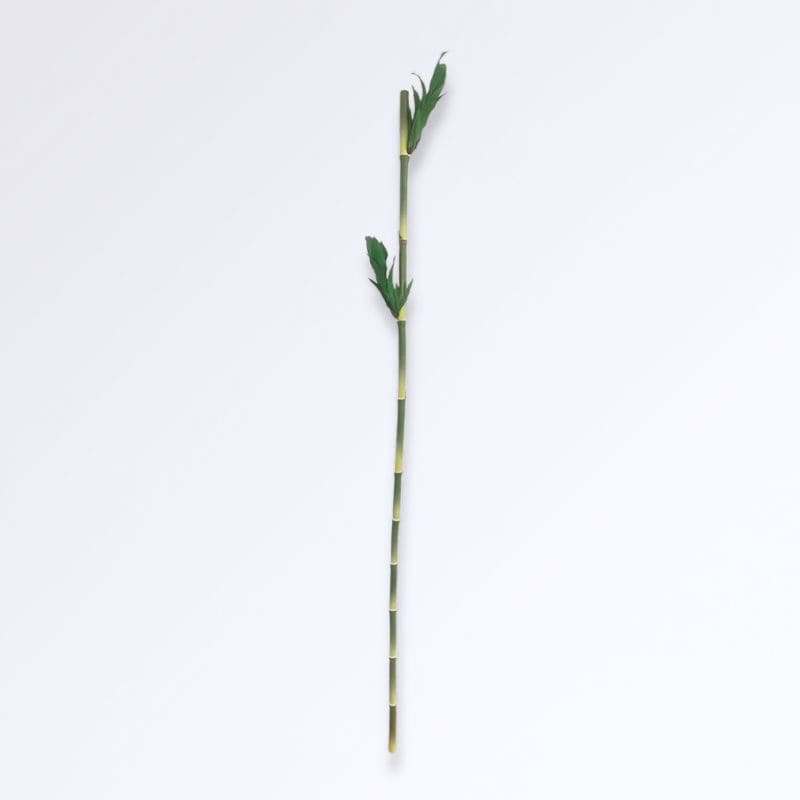 Grande Tige de Bambou Artificiel