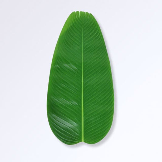 Grandes Feuilles de Bananier Artificielles L