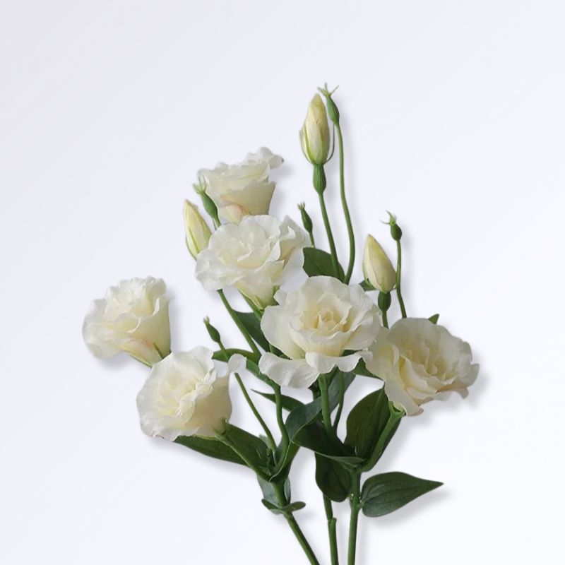 Lisianthus artificiel Blanc