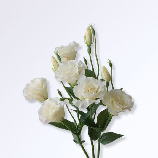 Lisianthus artificiel Blanc