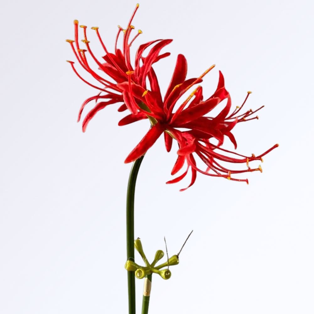 Lycoris Fleur Artificielle