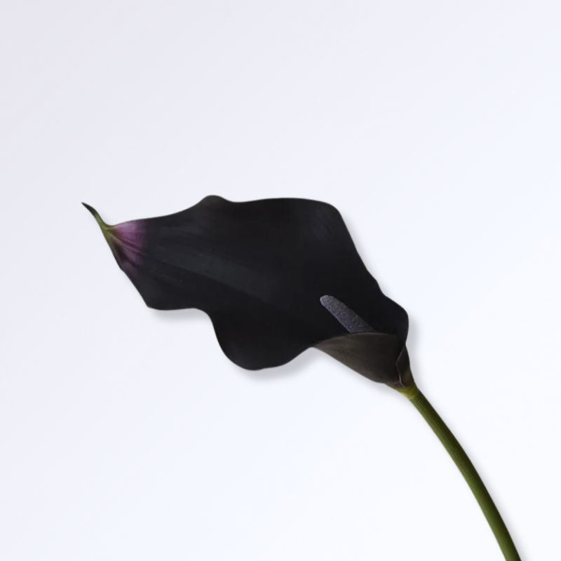 Lys Calla Artificiel Violet