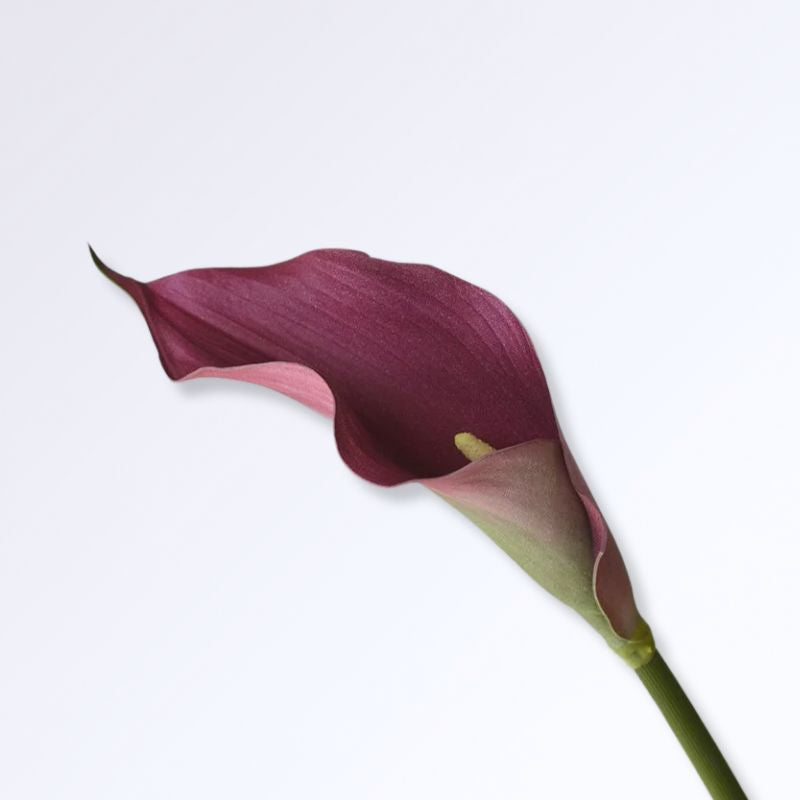 Lys Calla Artificiel Rose Mauve