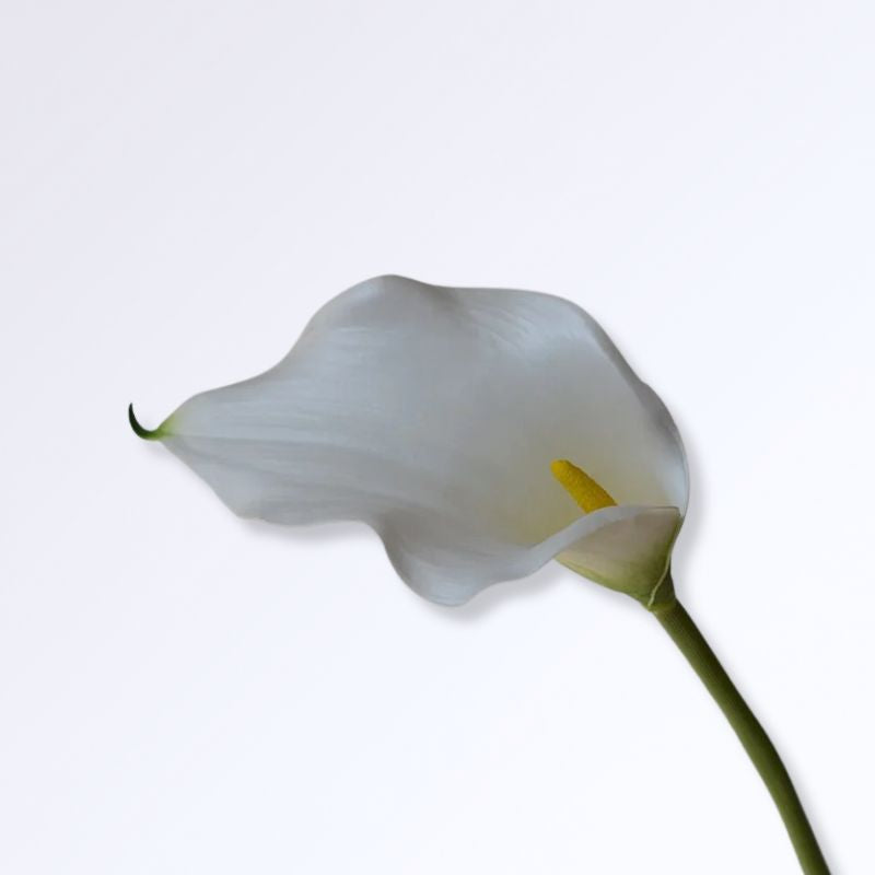 Lys Calla Artificiel Blanc