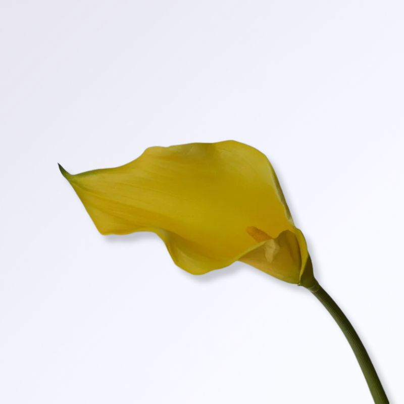 Lys Calla Artificiel Jaune