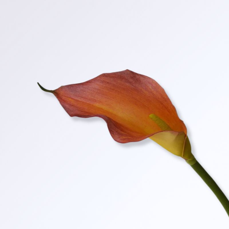 Lys Calla Artificiel Rouge - jaune