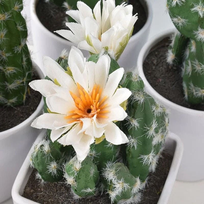 Mini Cactus Artificiel