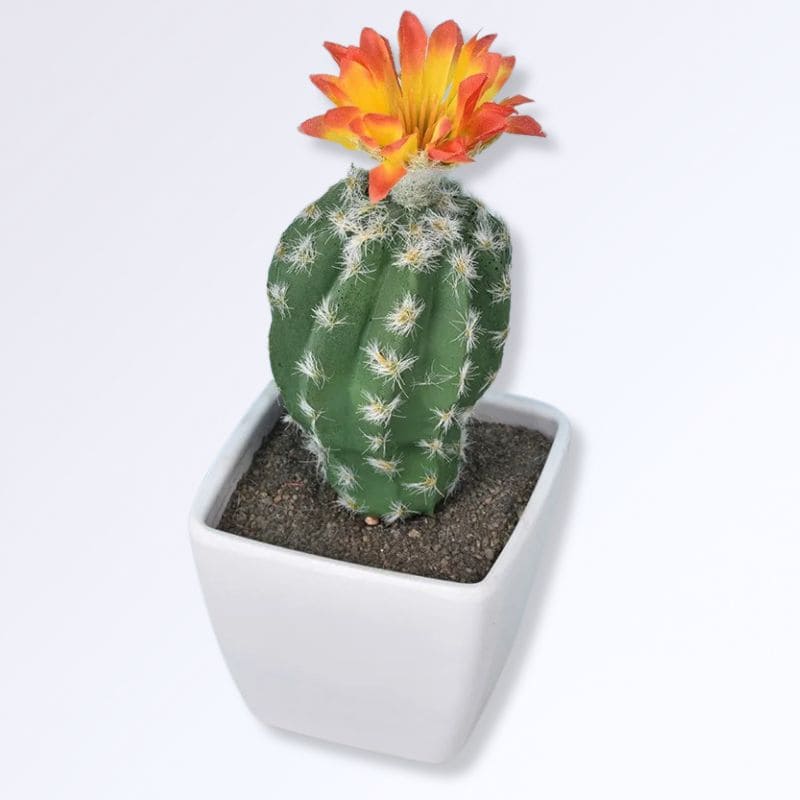 Mini Cactus Artificiel C