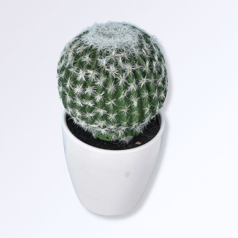 Mini Cactus Artificiel F