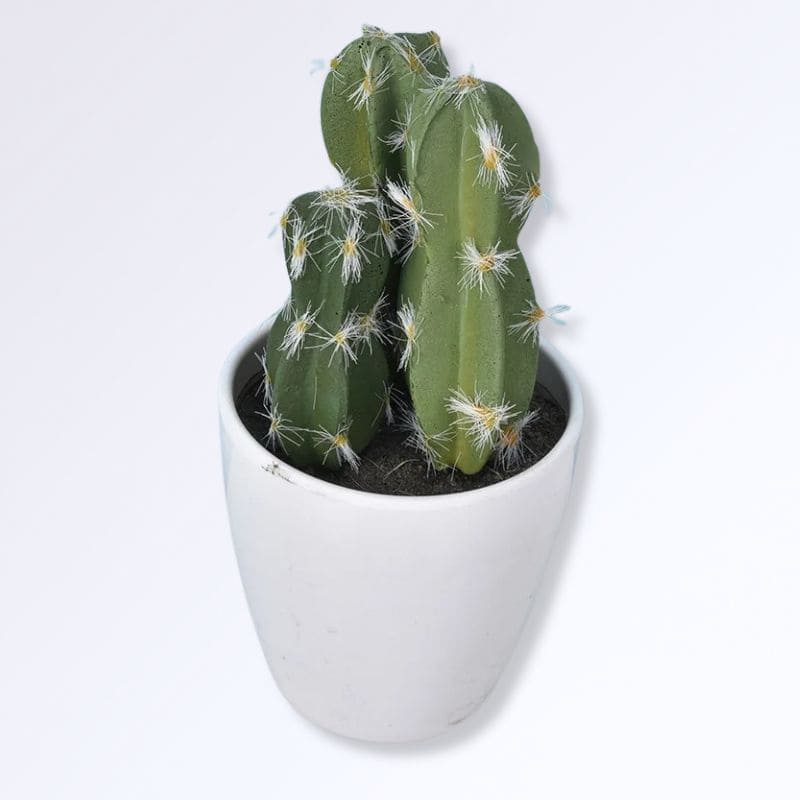 Mini Cactus Artificiel I