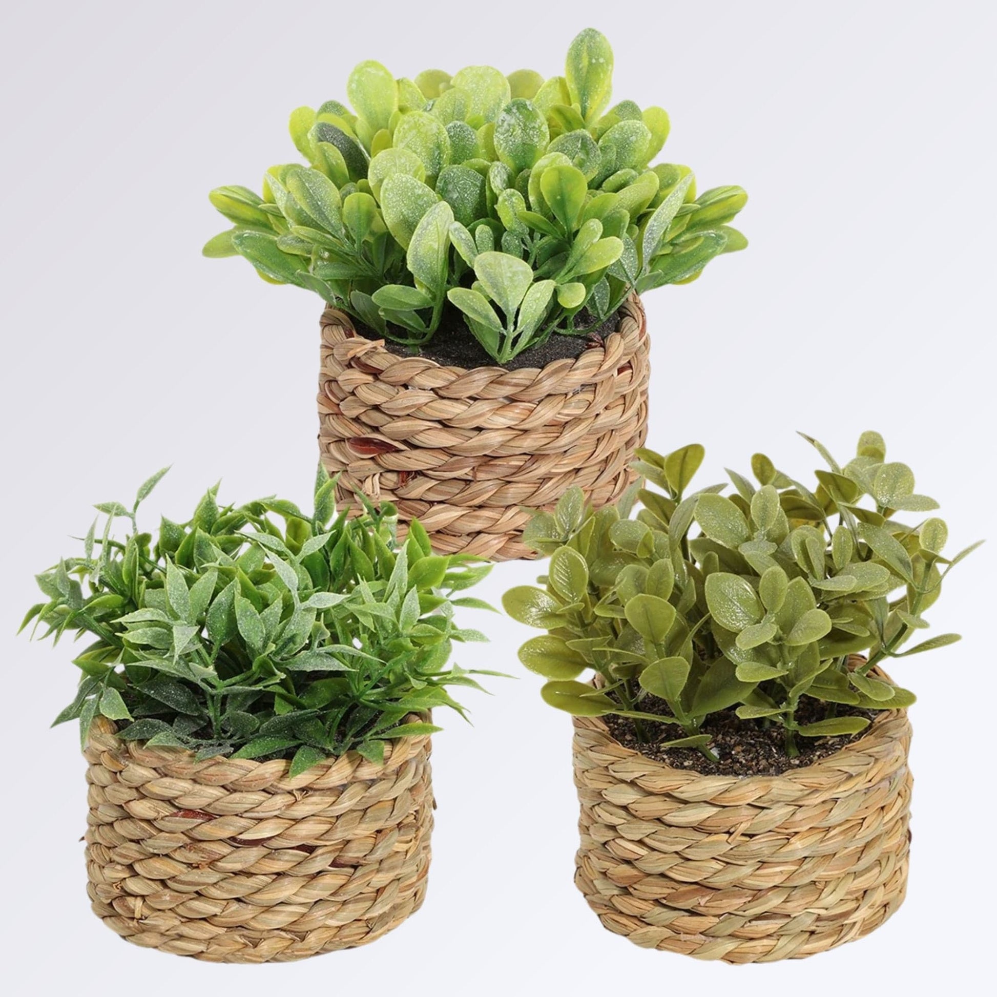 Mini Plante Artificielle en Pot