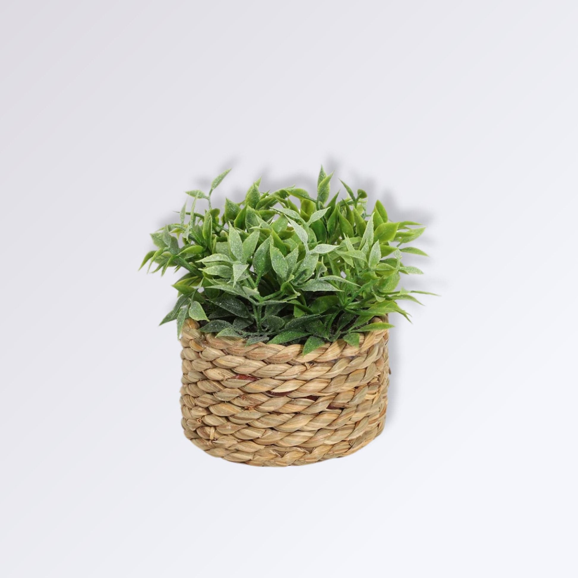 Mini Plante Artificielle en Pot Style 3