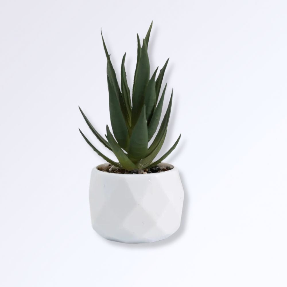 Mini Succulente Artificielle en Pot I