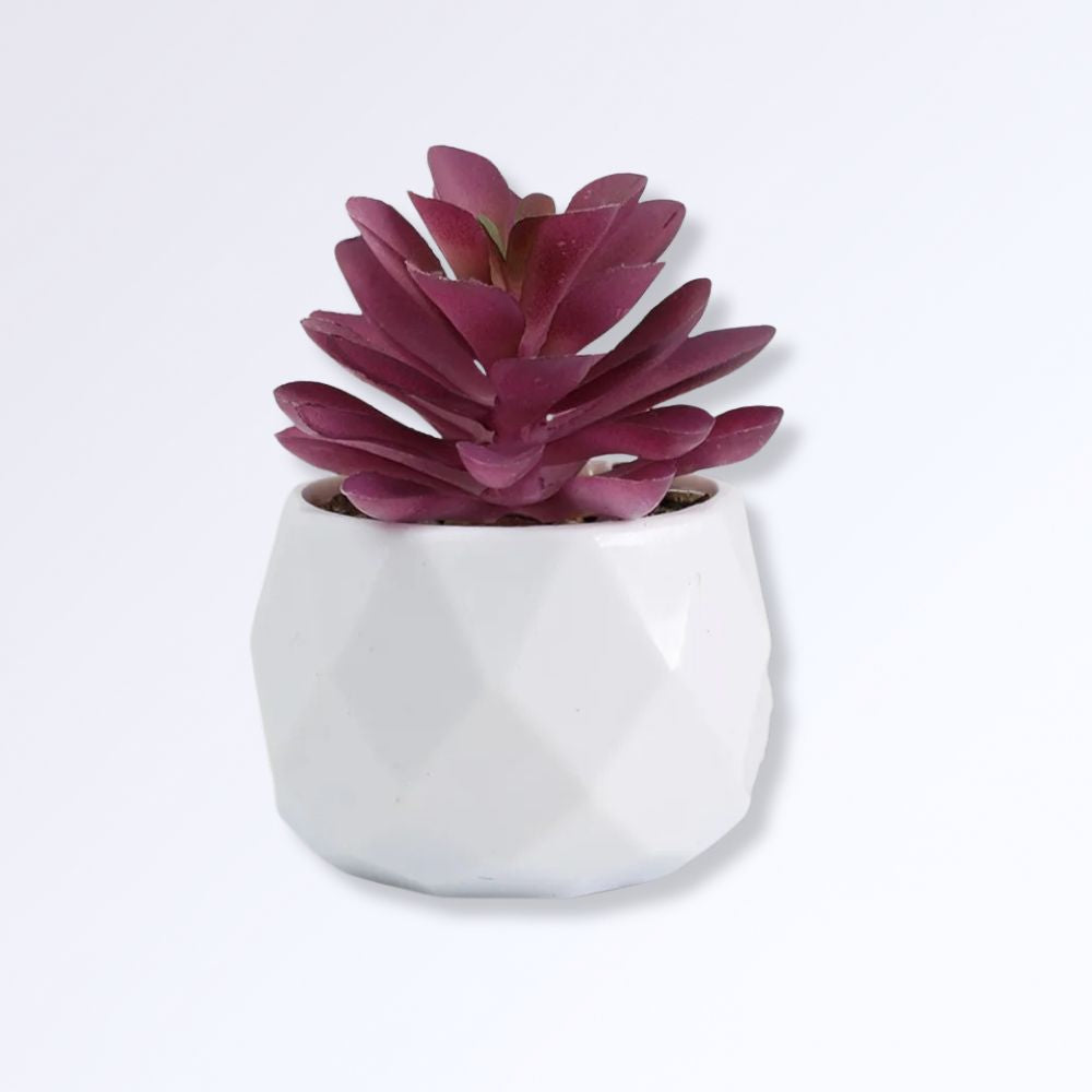Mini Succulente Artificielle en Pot J