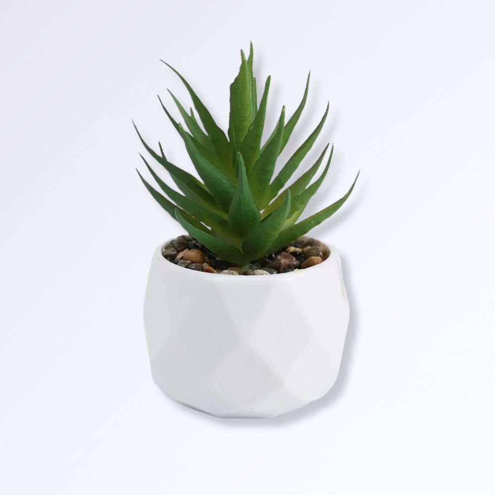 Mini Succulente Artificielle en Pot B