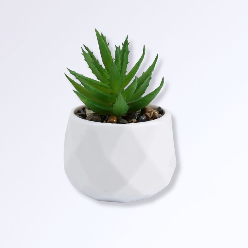 Mini Succulente Artificielle en Pot H