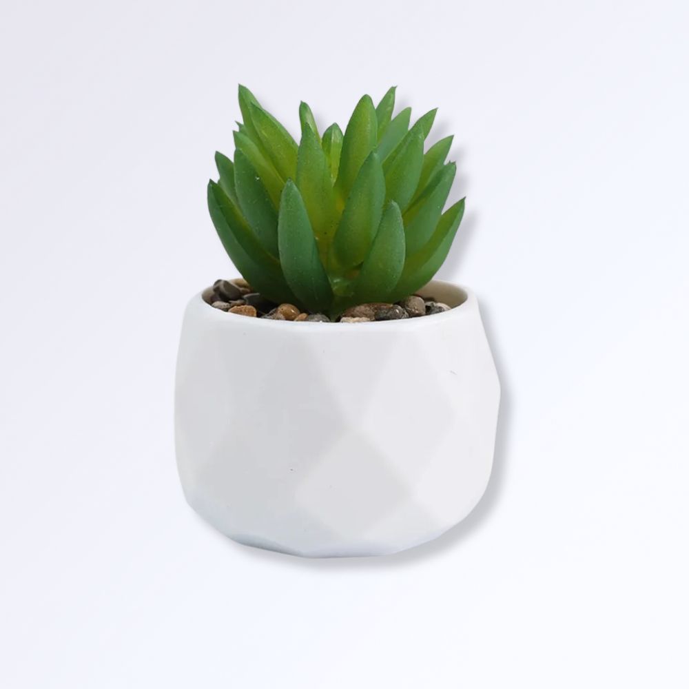 Mini Succulente Artificielle en Pot A