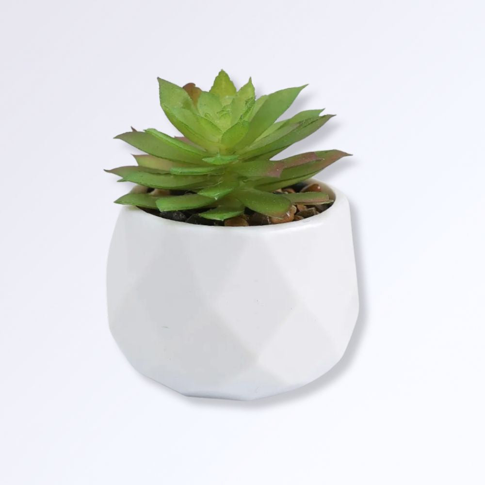 Mini Succulente Artificielle en Pot C