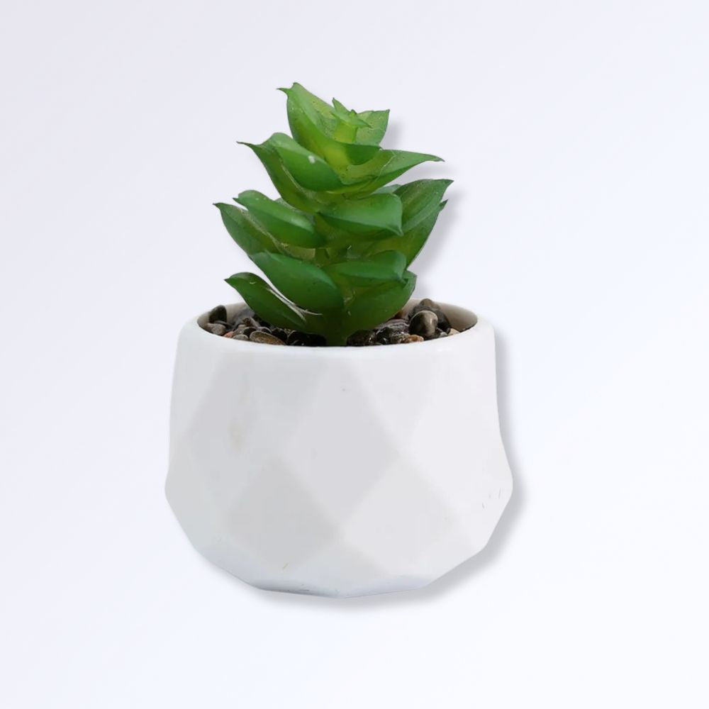Mini Succulente Artificielle en Pot D