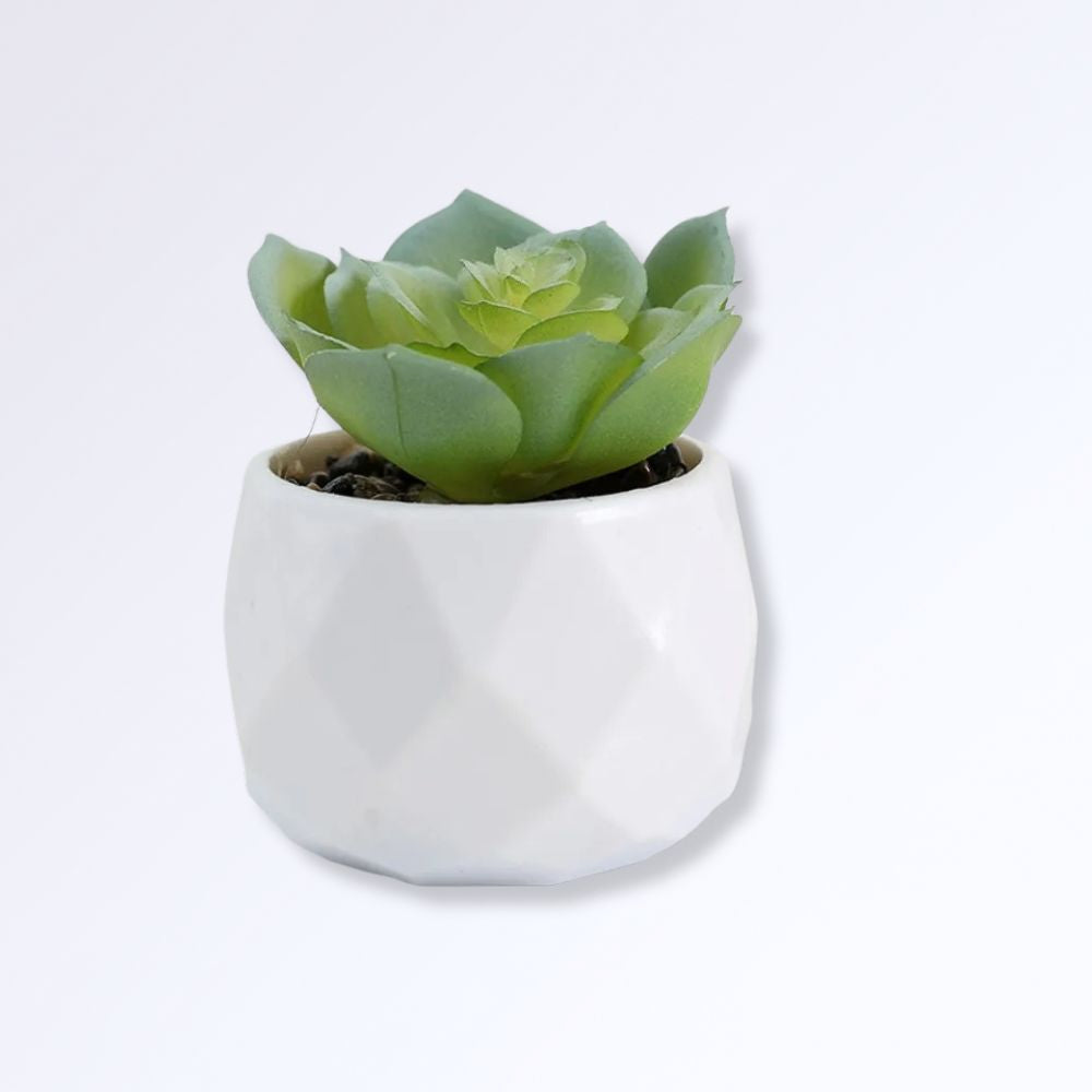 Mini Succulente Artificielle en Pot F