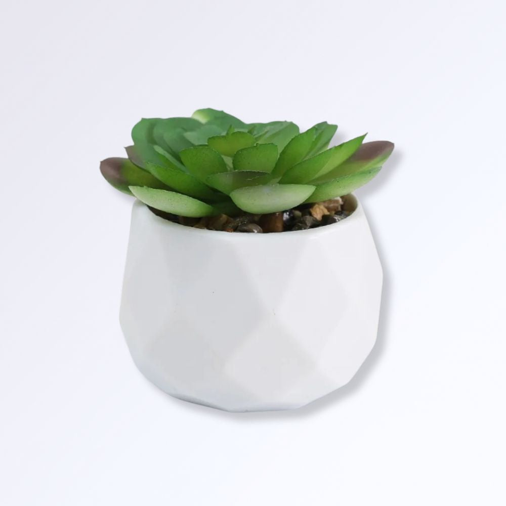 Mini Succulente Artificielle en Pot G