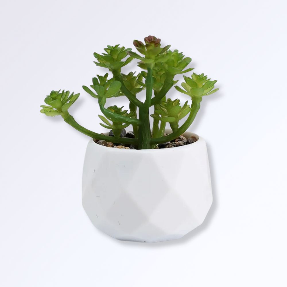 Mini Succulente Artificielle en Pot E