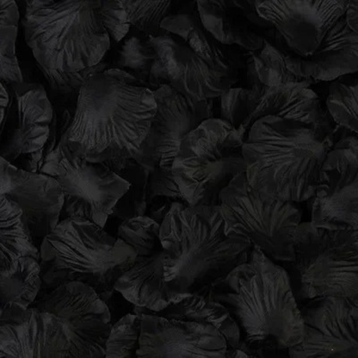 Pétales De Rose Artificielles Noir / 100 unités