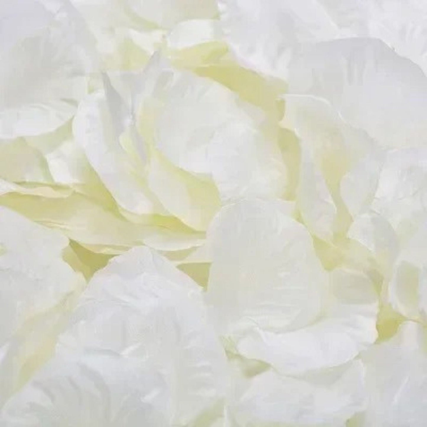 Pétales De Rose Artificielles Blanc cassé / 100 unités