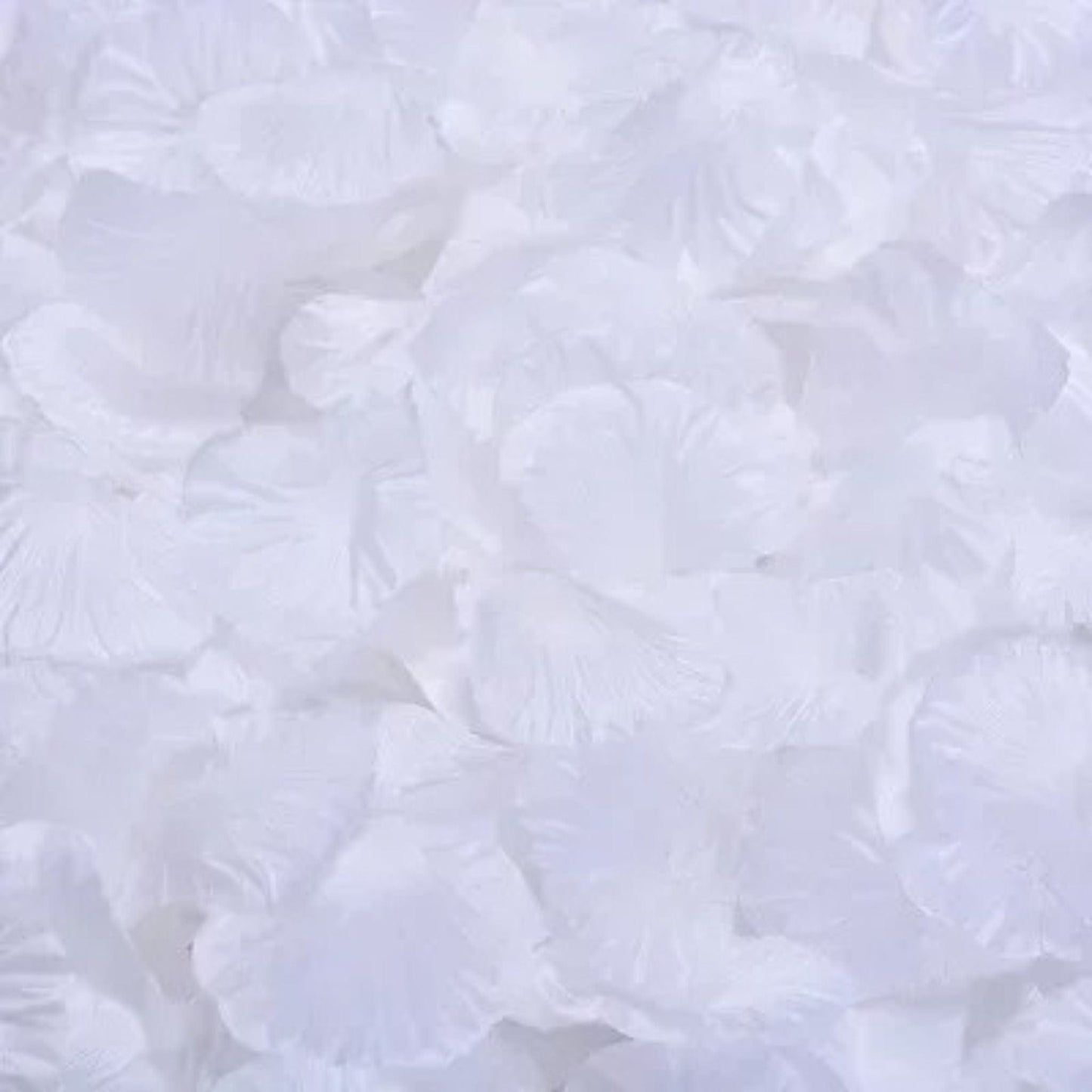 Pétales De Rose Artificielles Blanc pur / 100 unités