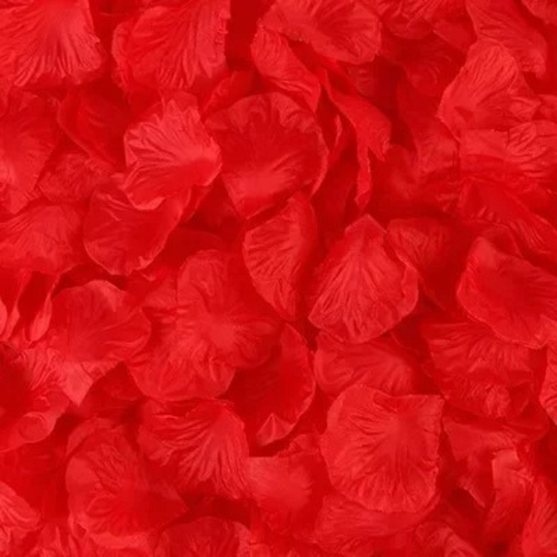 Pétales De Rose Artificielles Rouge vif / 100 unités