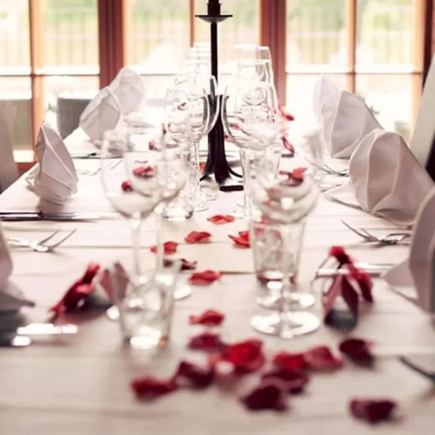 Pétales De Rose Artificielles