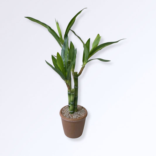 Petit Bambou Artificiel en Pot