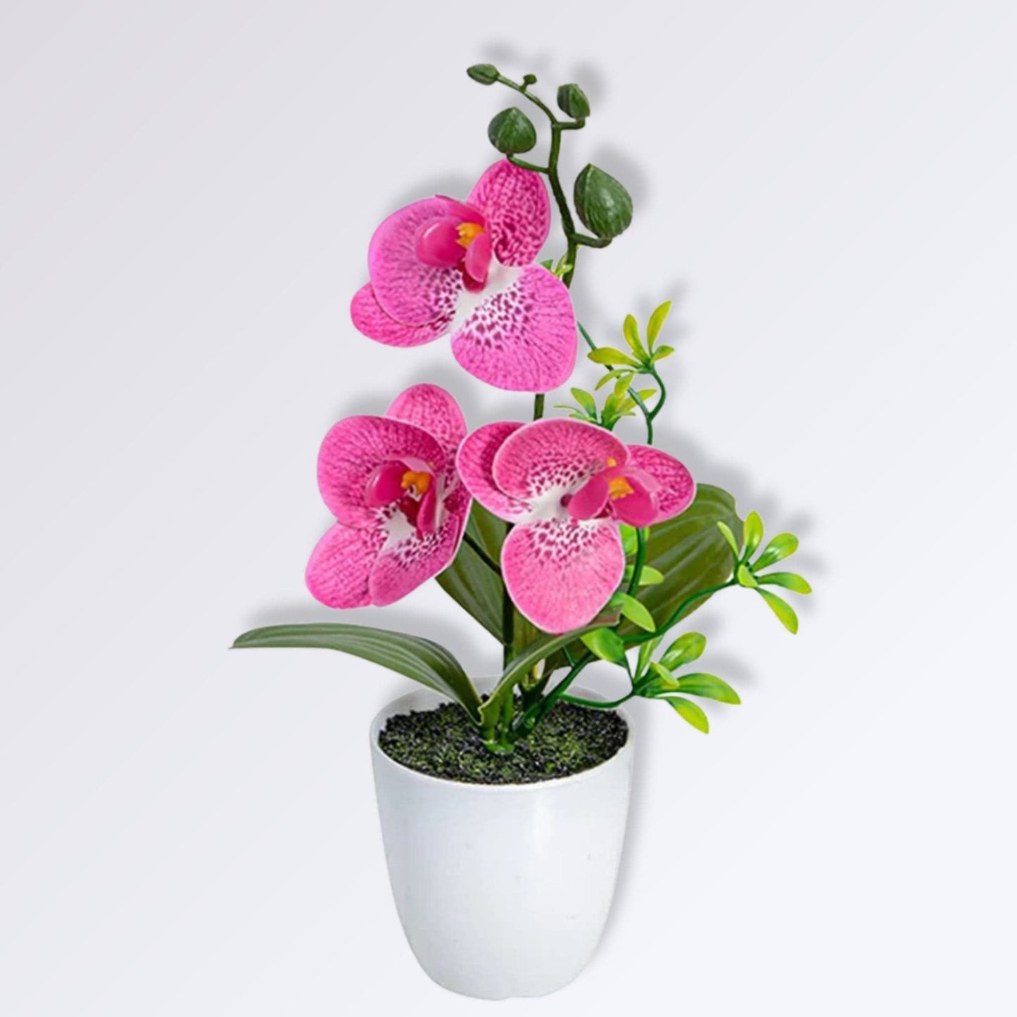 Petite Orchidée Artificielle en Pot Couleur Rose fuchsia